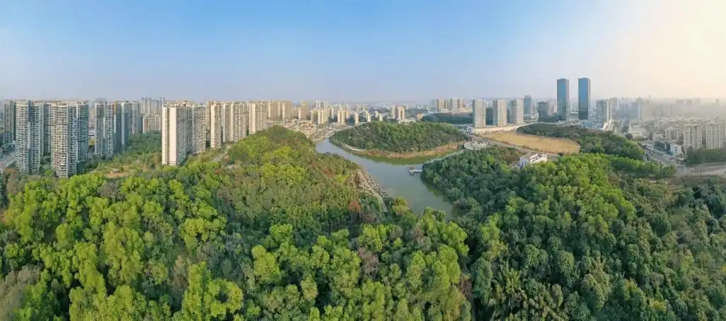 “三進(jìn)三同”攜手共進(jìn)，江門站助力區(qū)縣監(jiān)測見成效
