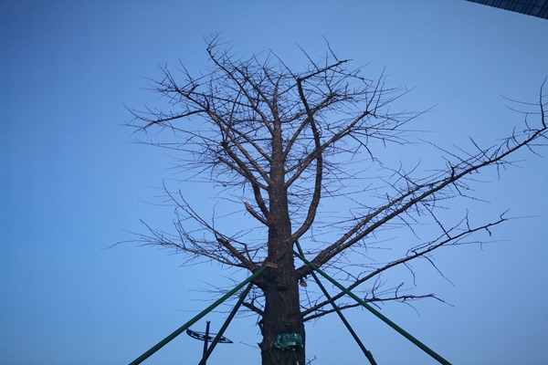 提“氣”質(zhì)丨打造2.0版本，實現(xiàn)“大數(shù)據(jù)”精準治污